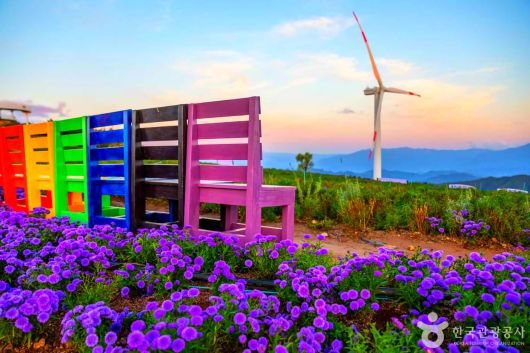 스타데일리뉴스