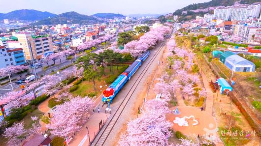 스타데일리뉴스