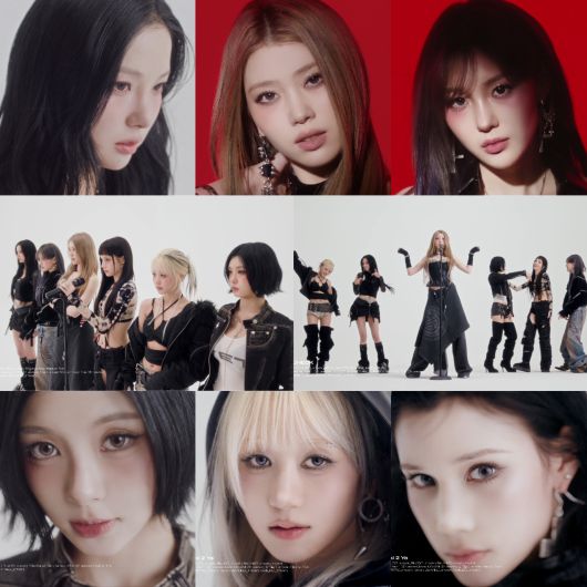 스타데일리뉴스