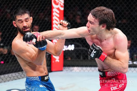 스타데일리뉴스