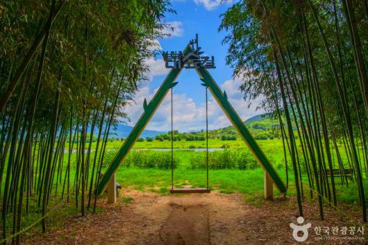 스타데일리뉴스