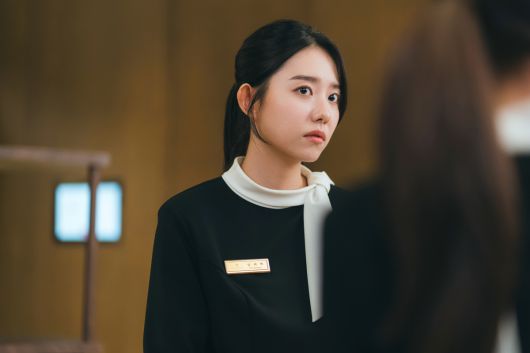 스타데일리뉴스