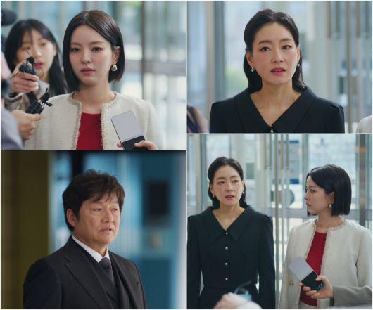 스타데일리뉴스