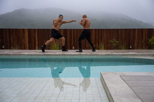 스타데일리뉴스