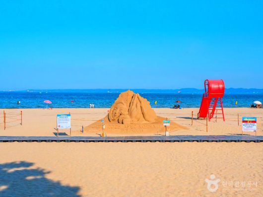 스타데일리뉴스