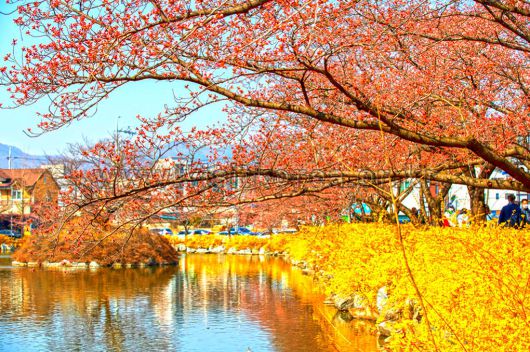 스타데일리뉴스