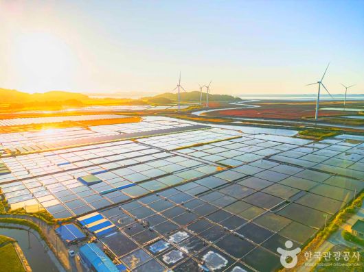 스타데일리뉴스