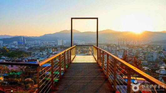 스타데일리뉴스