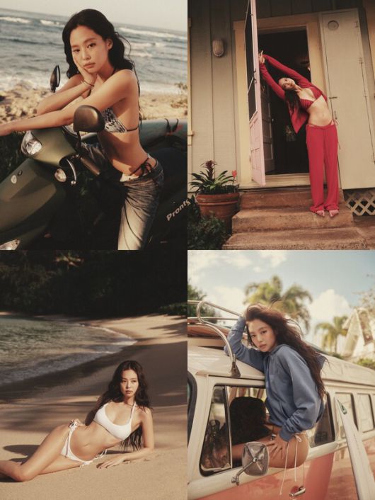 스타데일리뉴스