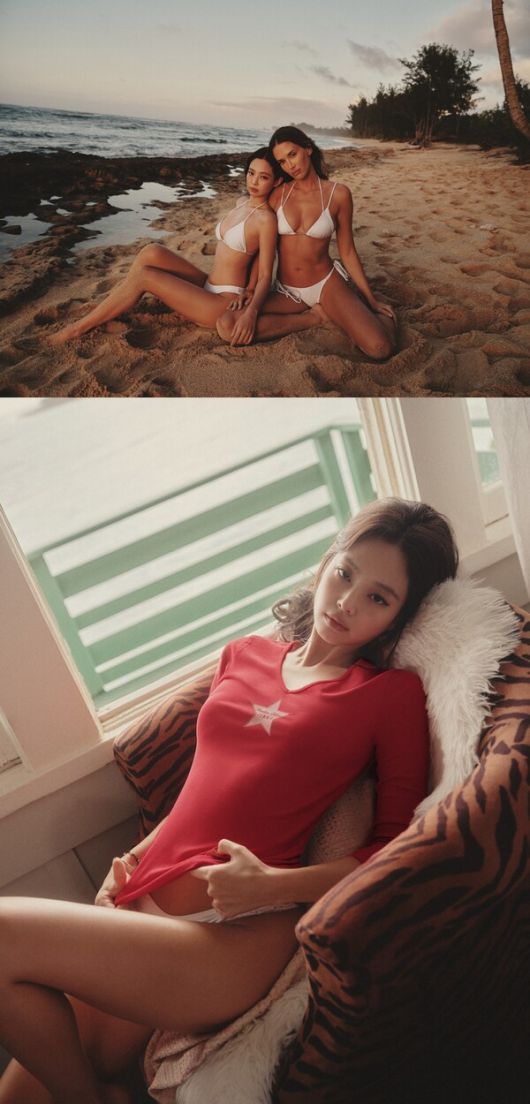 스타데일리뉴스