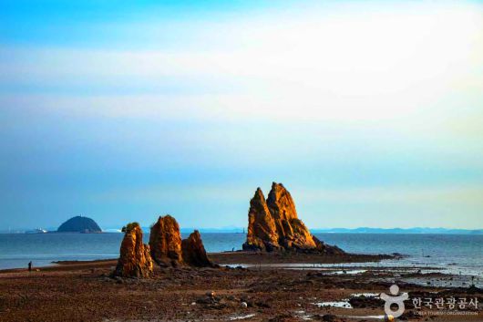 스타데일리뉴스