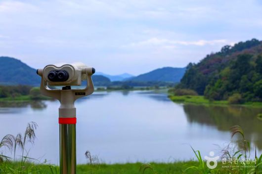 스타데일리뉴스