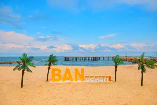 스타데일리뉴스