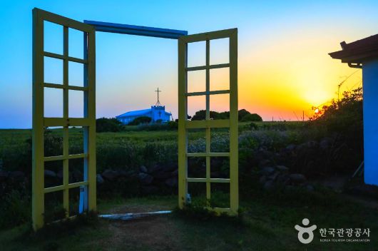 스타데일리뉴스