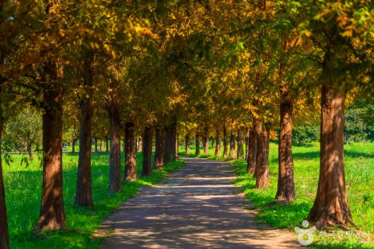 스타데일리뉴스