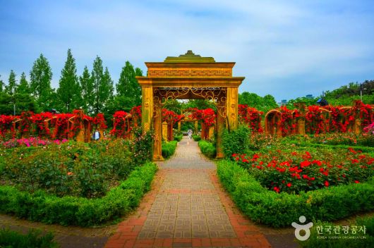 스타데일리뉴스