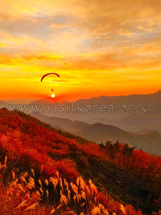 스타데일리뉴스