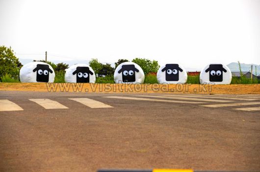 스타데일리뉴스