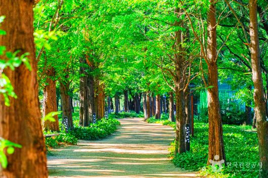 스타데일리뉴스