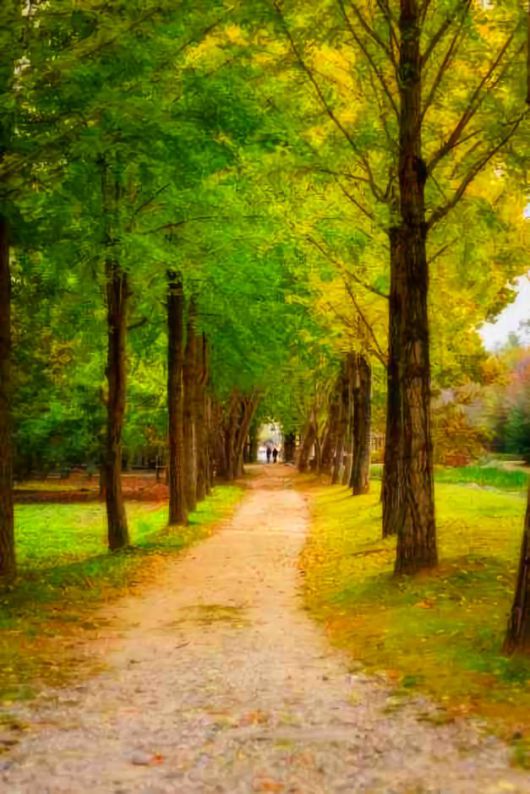 스타데일리뉴스