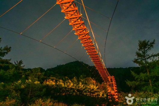 스타데일리뉴스