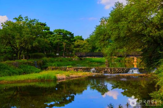 스타데일리뉴스