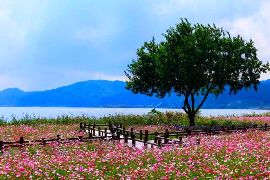 스타데일리뉴스