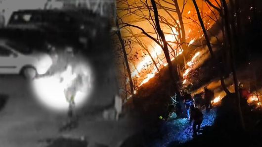 스타데일리뉴스