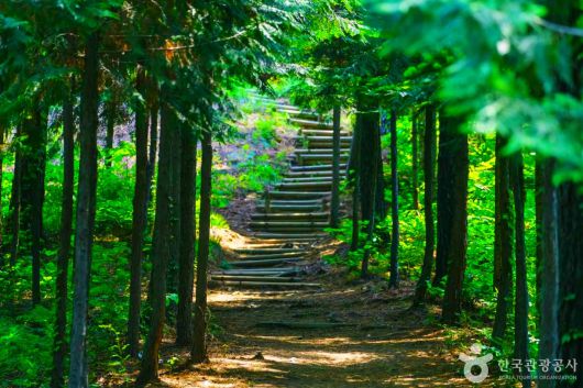 스타데일리뉴스