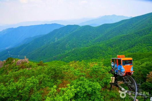 스타데일리뉴스