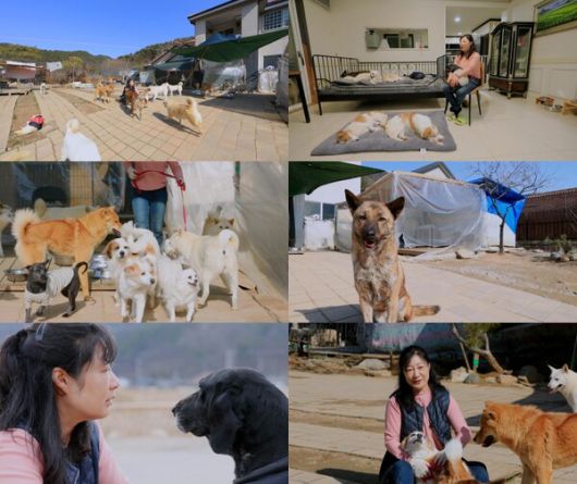 스타데일리뉴스