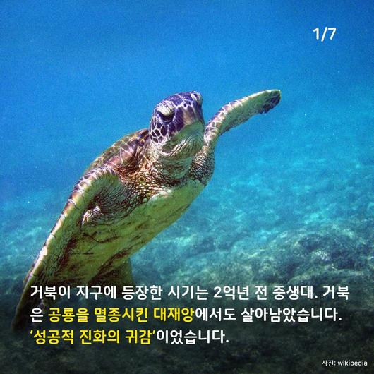 한겨레