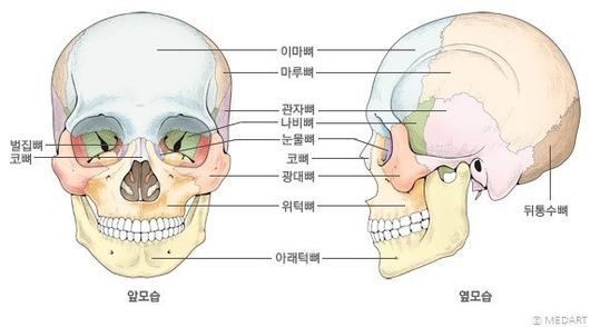 한겨레