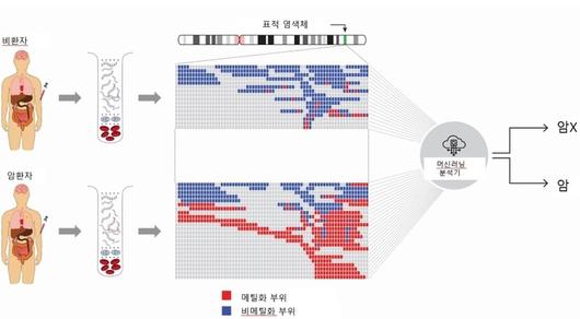 한겨레