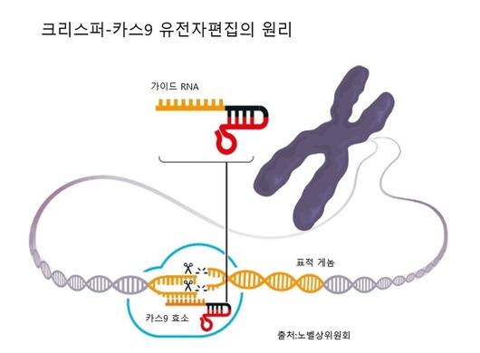 한겨레