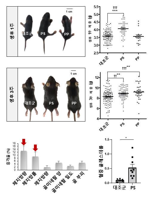 한겨레