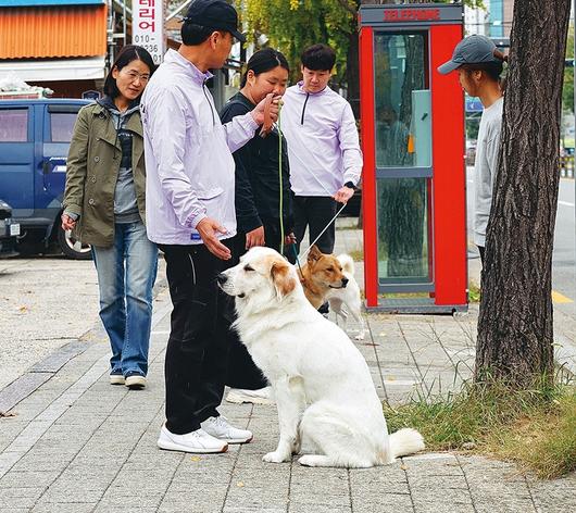 한겨레