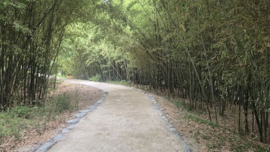 한겨레
