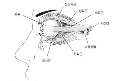 한국일보