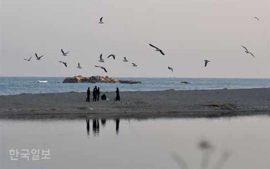 한국일보