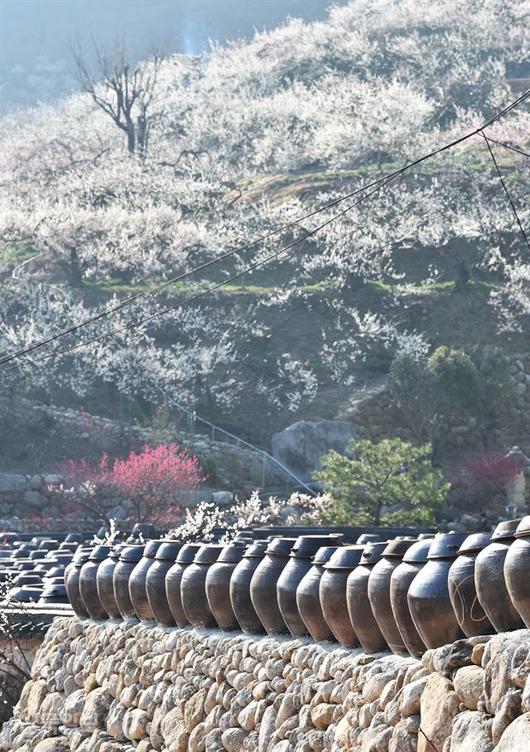 한국일보