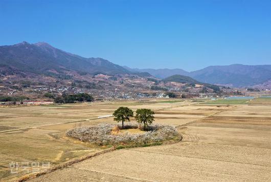 한국일보