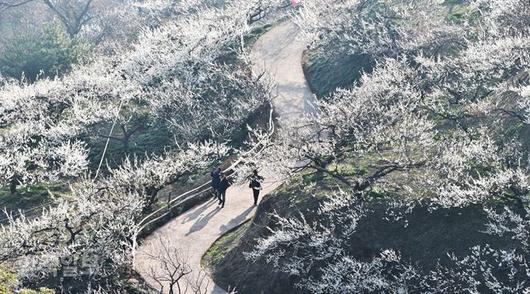 한국일보