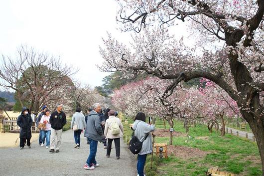 한국일보