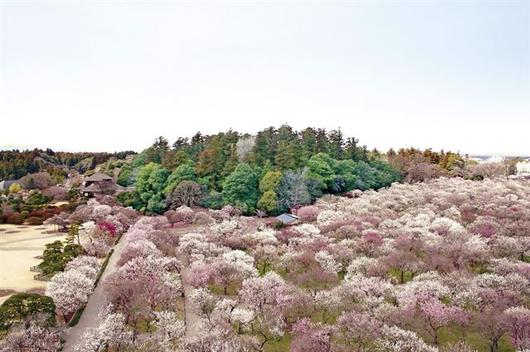 한국일보