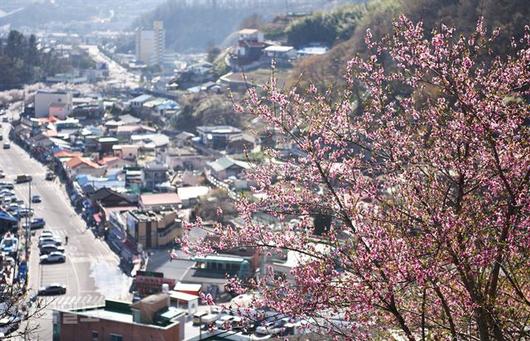 한국일보