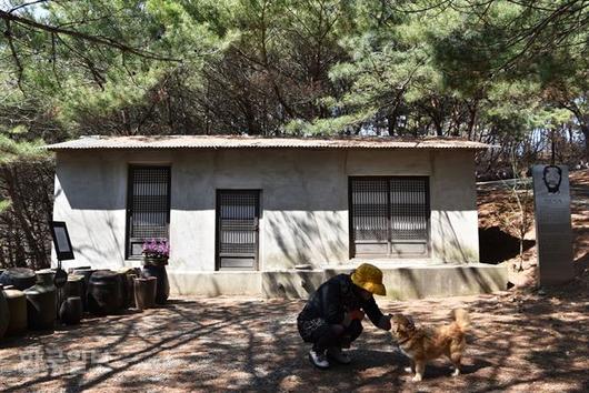 한국일보