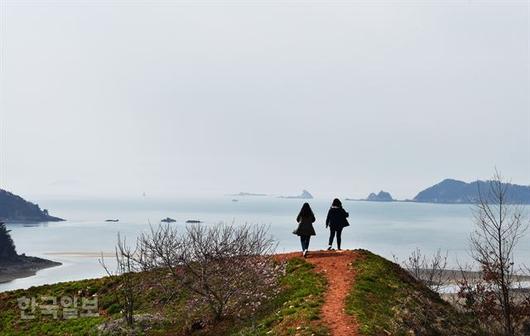 한국일보