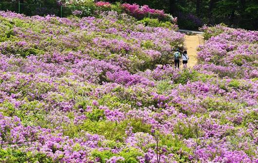 한국일보