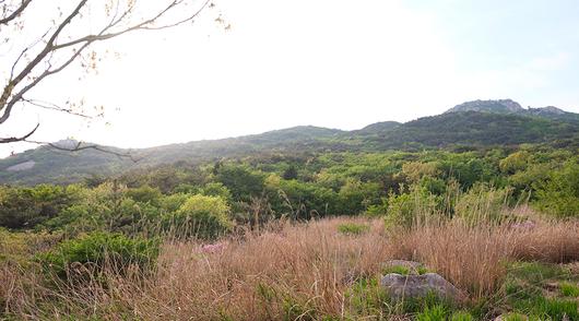 한국일보